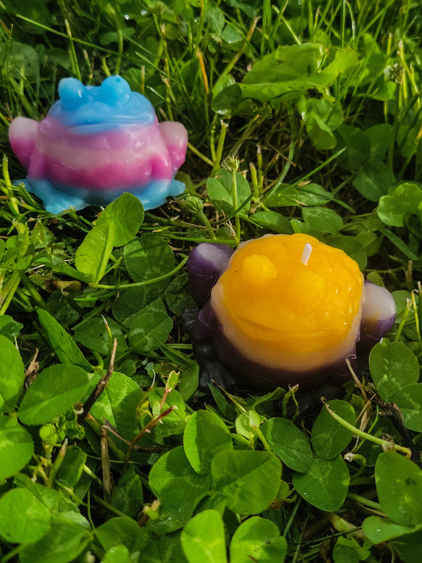 Transgender Frog Candle