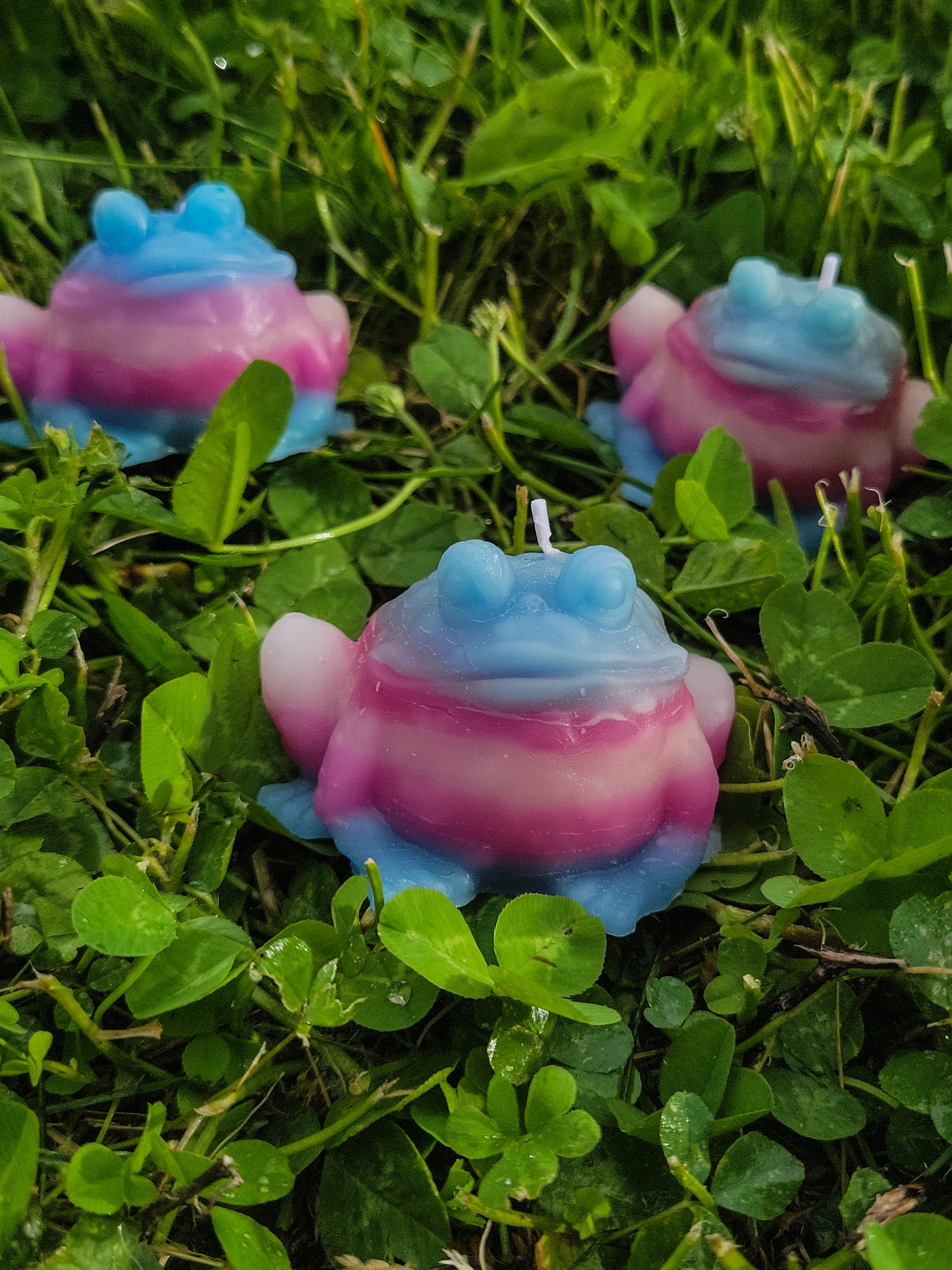 Transgender Frog Candle