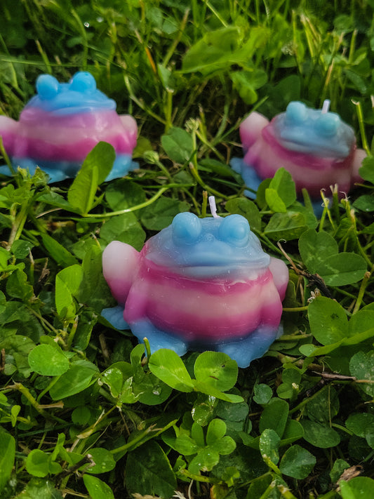 Transgender Frog Candle