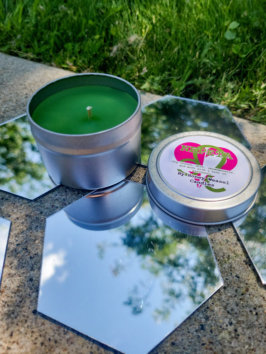 A Nepeta Leijon Inspired Candle. A silver 4 oz tin with an olive green beeswax candle inside sits on hexagonal shaped mirrors. The lid sits next to it, baring the leo symbol, the heart aspect symbol, and the title of the candle with a brief description of its scent.